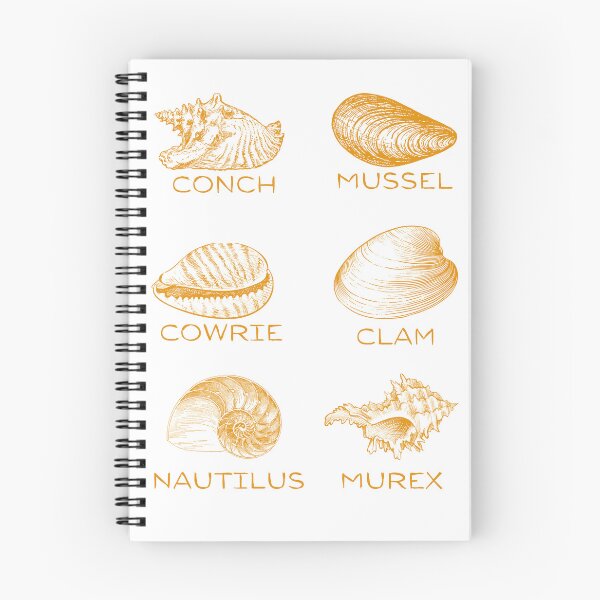 Item preview, 6 Types of Shells - Orange designed and sold by BeWilDesigns.