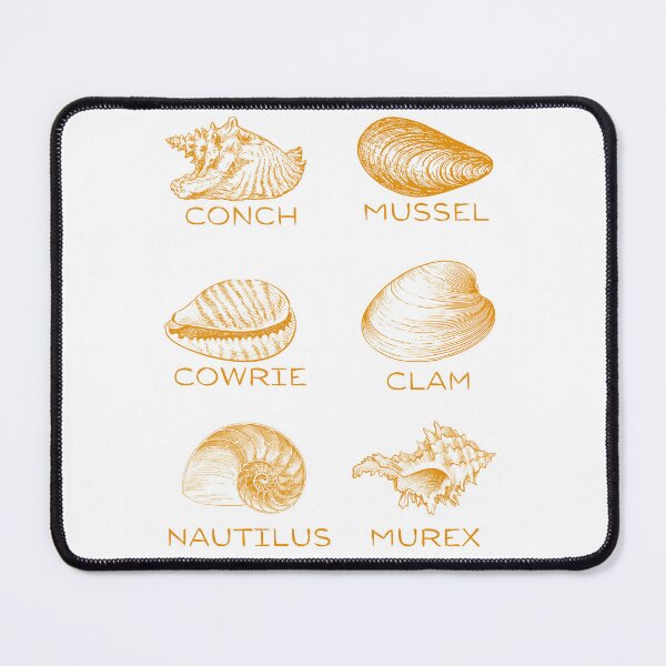 Item preview, 6 Types of Shells - Orange designed and sold by BeWilDesigns.