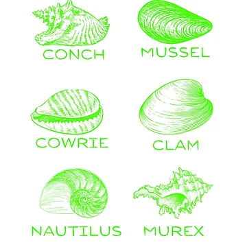 Artwork thumbnail, 6 Types of Shells - Green by BeWilDesigns