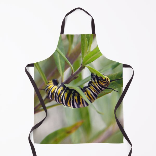 Item preview, Monarch Caterpillar Having Lunch  designed and sold by heatherfriedman.
