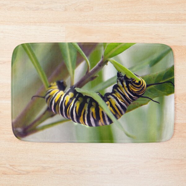 Item preview, Monarch Caterpillar Having Lunch  designed and sold by heatherfriedman.