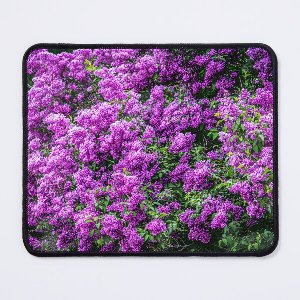 Item preview, Lovely Lilacs designed and sold by Maria Keady.