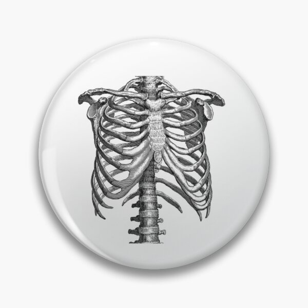 Item preview, Skeleton Ripcage  designed and sold by Mono-Mark.