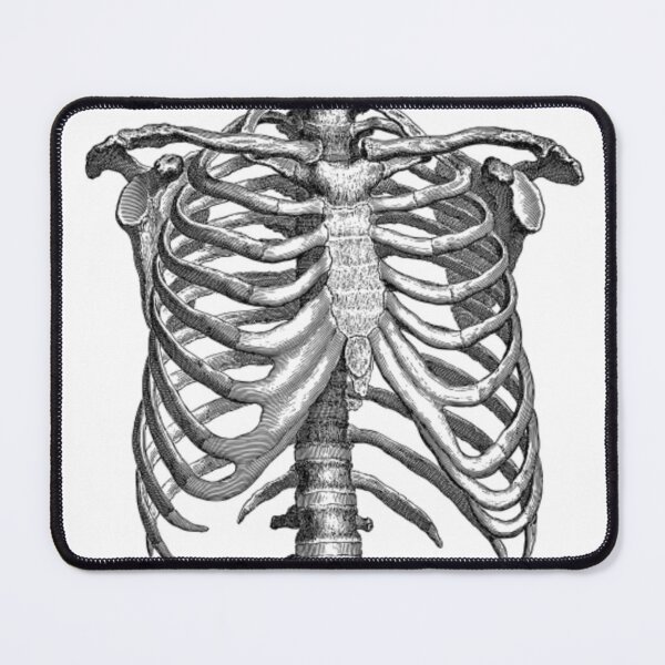 Item preview, Skeleton Ripcage  designed and sold by Mono-Mark.