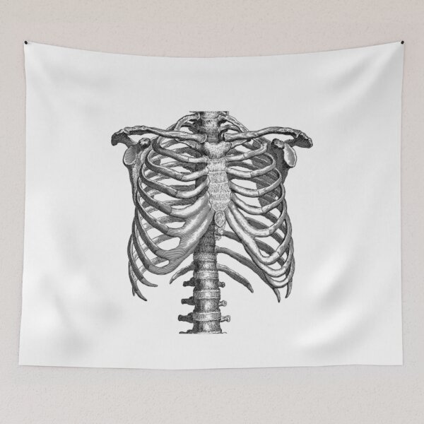 Item preview, Skeleton Ripcage  designed and sold by Mono-Mark.
