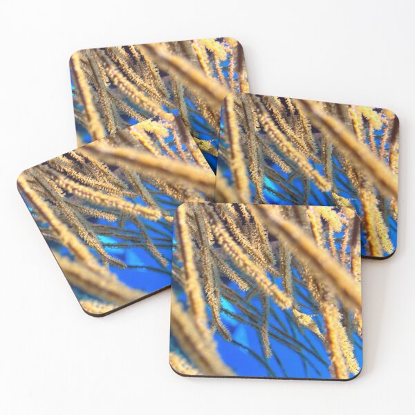 Item preview, Golden Coral Haven: The Baby Filefish designed and sold by SeaLensStudio.