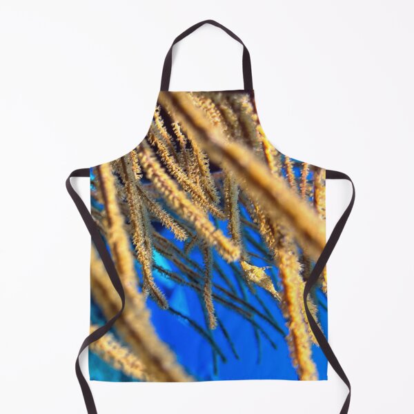 Item preview, Golden Coral Haven: The Baby Filefish designed and sold by SeaLensStudio.