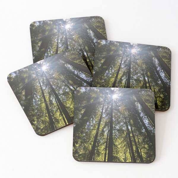 Item preview, Where the Light Meets the Trees Too designed and sold by frankergas.