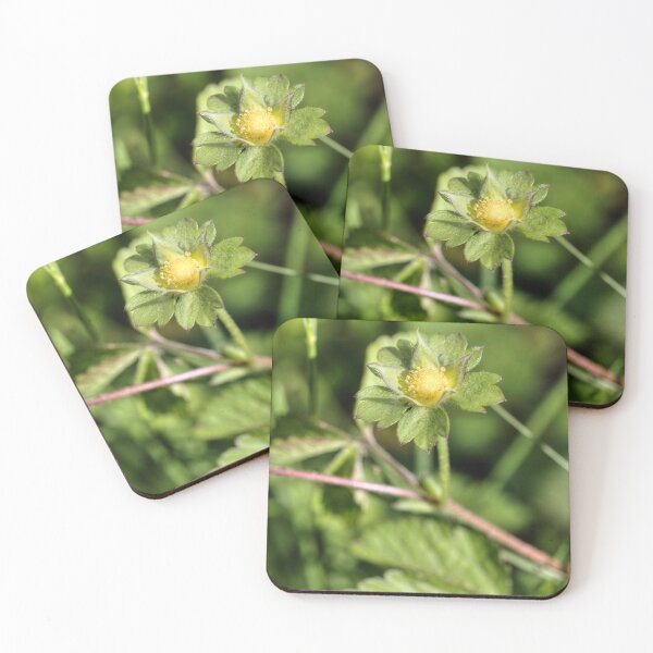 Item preview, A mock Strawberry  designed and sold by WCHGraphics.