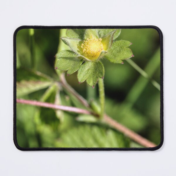 Item preview, A mock Strawberry designed and sold by WCHGraphics.