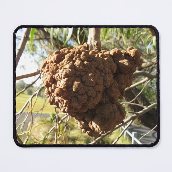 Item preview, The bizarre hanging "fruit" designed and sold by greentiger1.