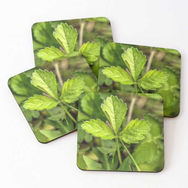 Item preview, Mock Strawberry Leaves designed and sold by WCHGraphics.