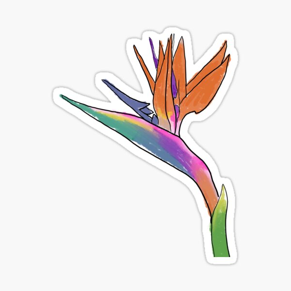 bird of paradise flower Sticker