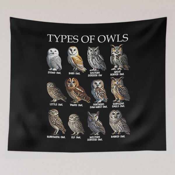 Item preview, Types of Owls Bird Watching Birdwatching Watcher Birding Ornithologist designed and sold by Kimberley King Art  King Art.