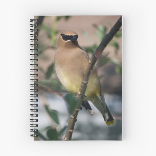 Item preview, Cedar Waxwing designed and sold by Halobrianna.