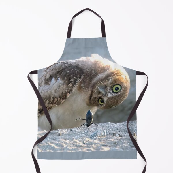 Item preview, Burrowing Owl Curious About A Beetle Standing On Its Head designed and sold by CarolM.