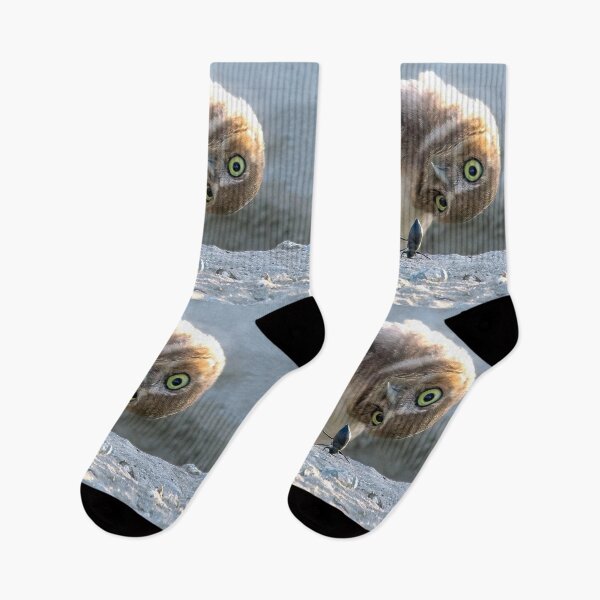 Item preview, Burrowing Owl Curious About A Beetle Standing On Its Head  designed and sold by CarolM.