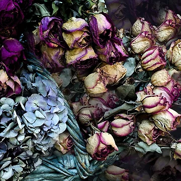 Artwork thumbnail, Paper Roses by Halobrianna