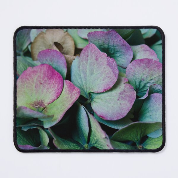 Item preview, Hydrangea designed and sold by Halobrianna.