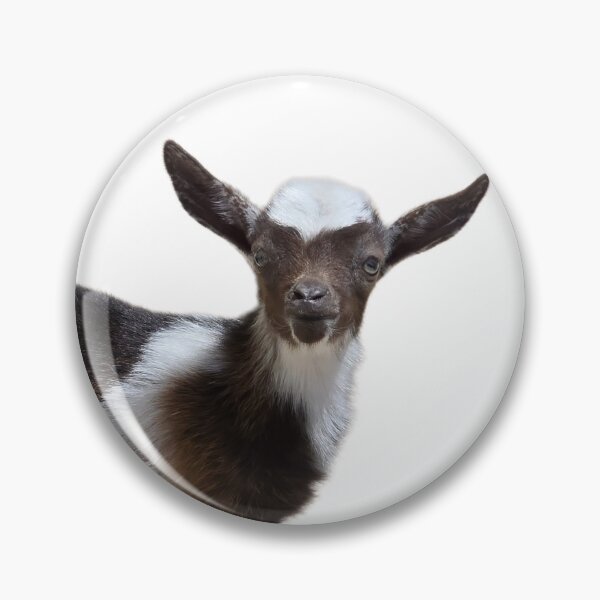 Item preview, Itsy sweet baby goat  designed and sold by Joysfuntime.
