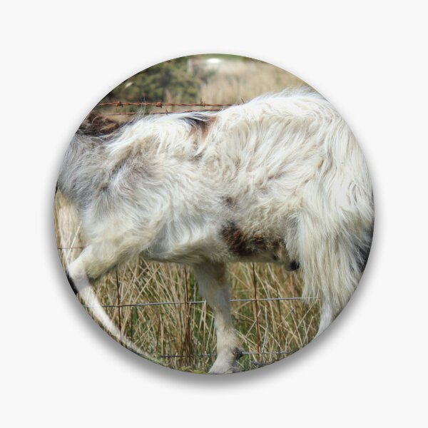 Item preview, cabrito designed and sold by KathleenDawson.