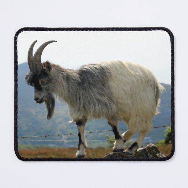 Item preview, kid goat designed and sold by KathleenDawson.