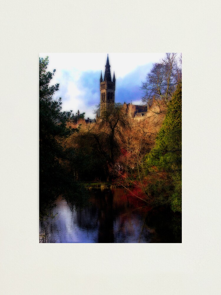 Alternate view of The Cyprus Pond Photographic Print