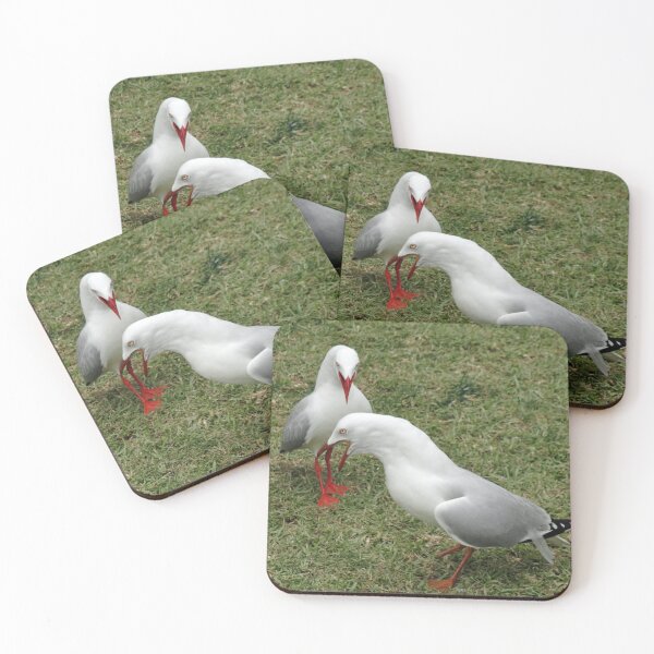 Item preview, Seagull Fight designed and sold by STHogan.