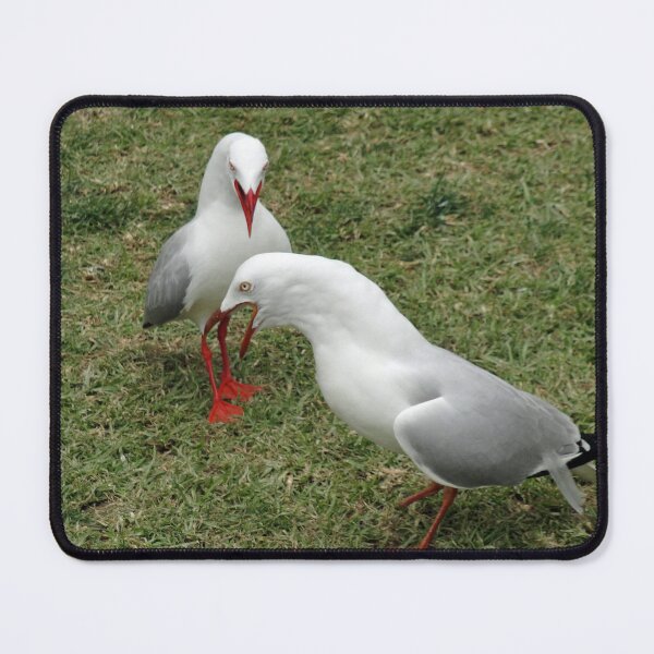Item preview, Seagull Fight designed and sold by STHogan.