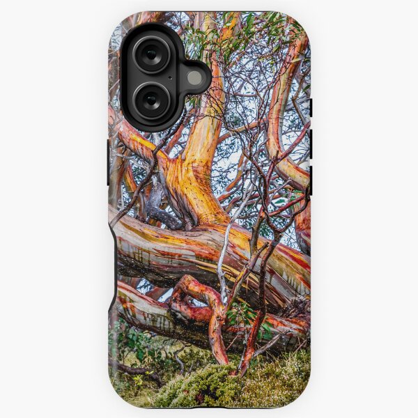 Item preview, Snow Gum designed and sold by Peter Hocking.