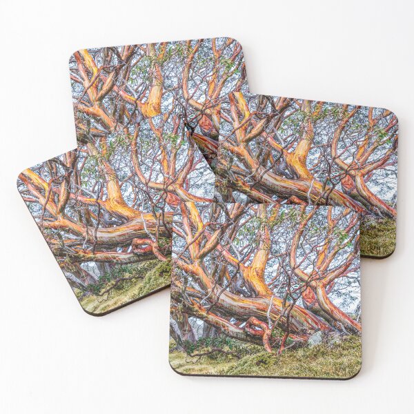 Item preview, Snow Gum designed and sold by Peter Hocking.