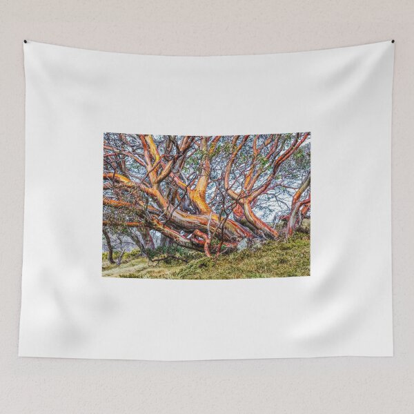 Item preview, Snow Gum designed and sold by Peter Hocking.