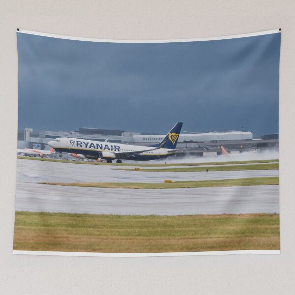 Item preview, MAN to AGA Ryanair Boeing 737-8AS designed and sold by Skyframe Aviation.