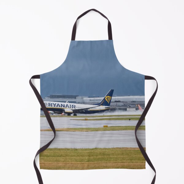 Item preview, MAN to AGA Ryanair Boeing 737-8AS designed and sold by Skyframe Aviation.