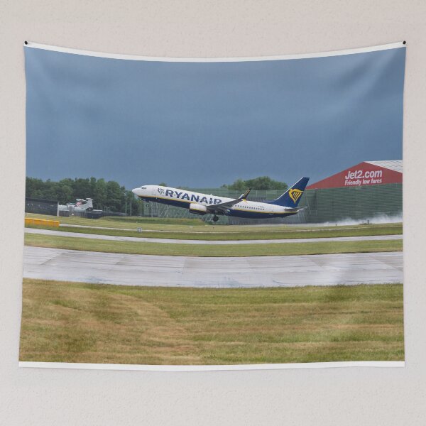 Item preview, MAN to AGA Ryanair Boeing 737-8AS designed and sold by Skyframe Aviation.