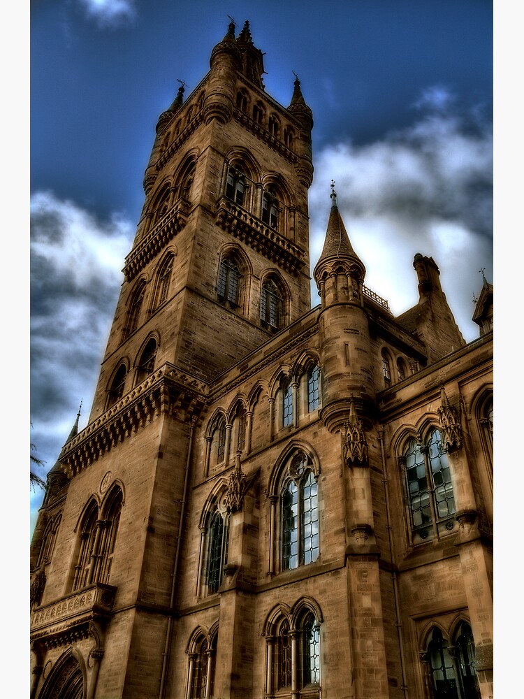 The Tower by Shuggie