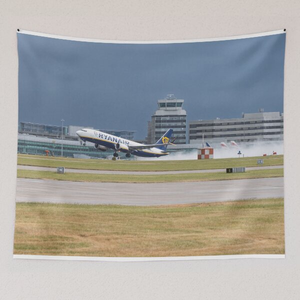 Item preview, MAN to AGP Ryanair Boeing 737 MAX 8-200 designed and sold by Skyframe Aviation.