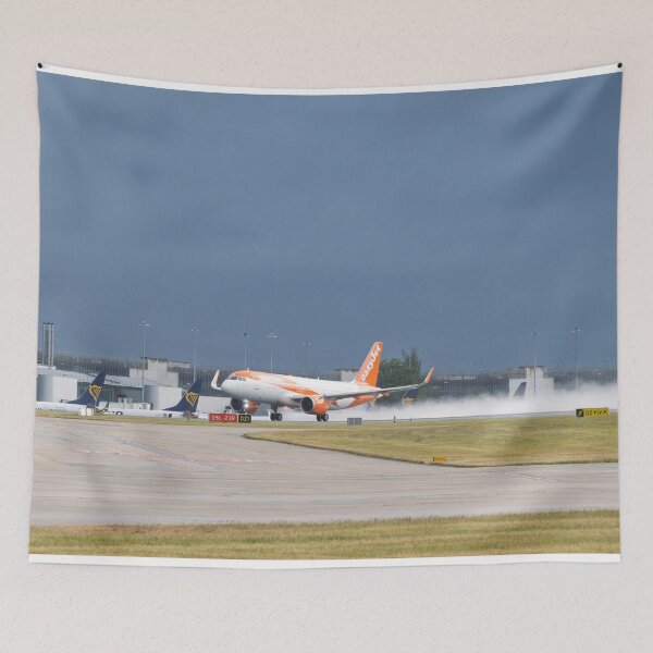 Item preview, MAN to PMI easyJet Airbus A320-251N designed and sold by Skyframe Aviation.