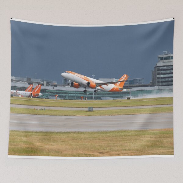 Item preview, MAN to PMI easyJet Airbus A320-251N designed and sold by Skyframe Aviation.