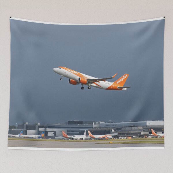 Item preview, MAN to PMI easyJet Airbus A320-251N designed and sold by Skyframe Aviation.