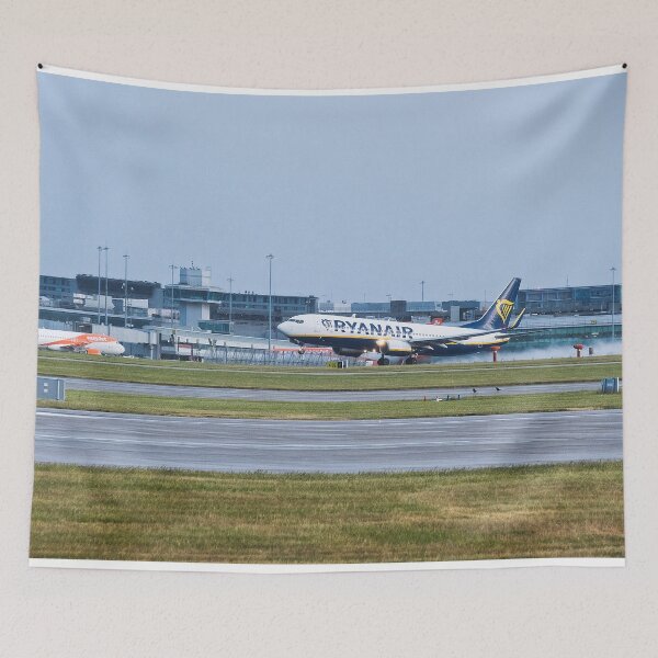 Item preview, MAN to BFS Ryanair Boeing 737-8AS designed and sold by Skyframe Aviation.
