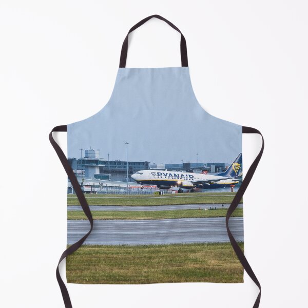 Item preview, MAN to BFS Ryanair Boeing 737-8AS designed and sold by Skyframe Aviation.