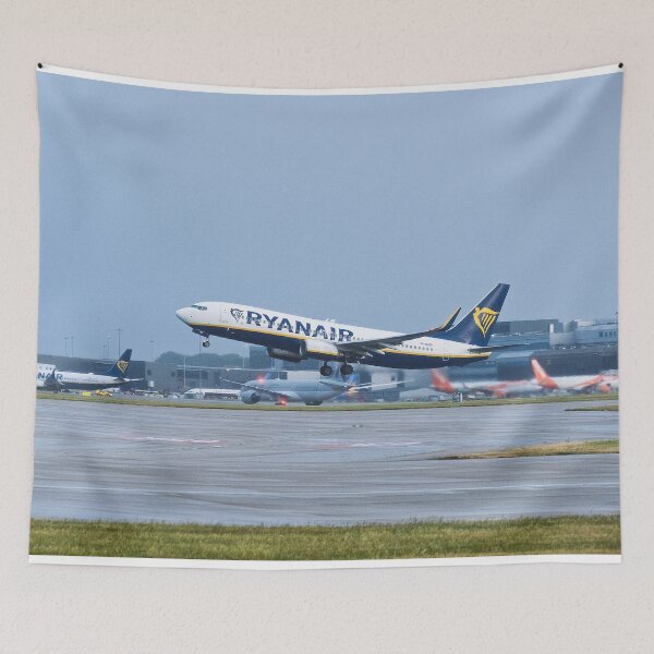 Item preview, MAN to BFS Ryanair Boeing 737-8AS designed and sold by Skyframe Aviation.