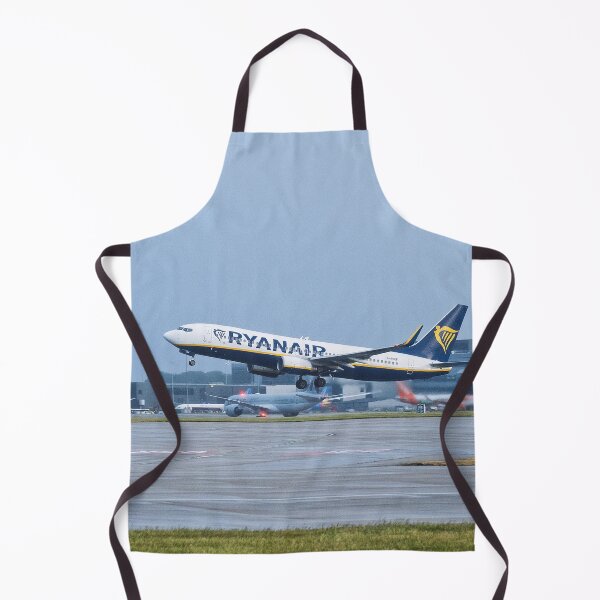 Item preview, MAN to BFS Ryanair Boeing 737-8AS designed and sold by Skyframe Aviation.