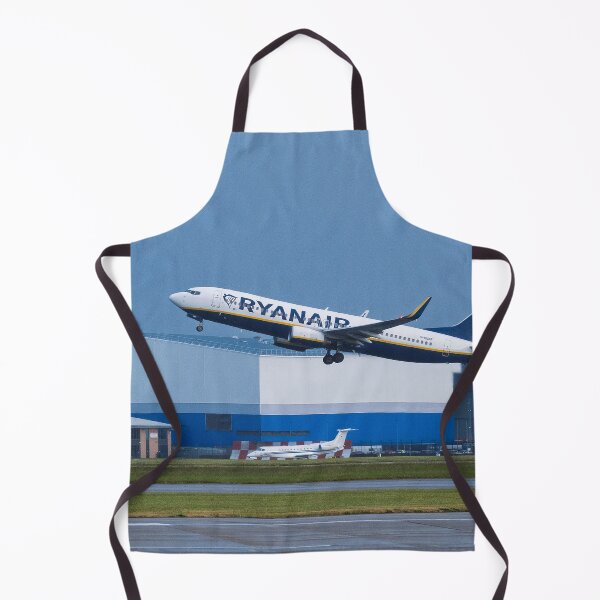 Item preview, MAN to BFS Ryanair Boeing 737-8AS designed and sold by Skyframe Aviation.