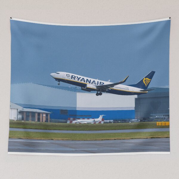 Item preview, MAN to BFS Ryanair Boeing 737-8AS designed and sold by Skyframe Aviation.
