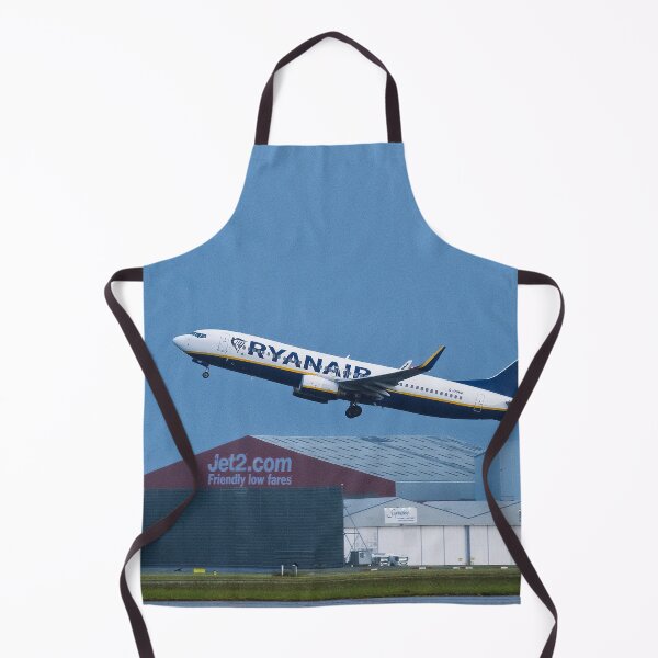 Item preview, MAN to BFS Ryanair Boeing 737-8AS designed and sold by Skyframe Aviation.