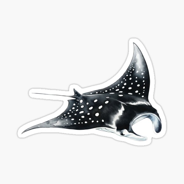 Item preview, Spotted Eagle Ray designed and sold by 4rtistcDrift.