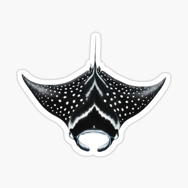 Item preview, Spotted Eagle Ray designed and sold by 4rtistcDrift.