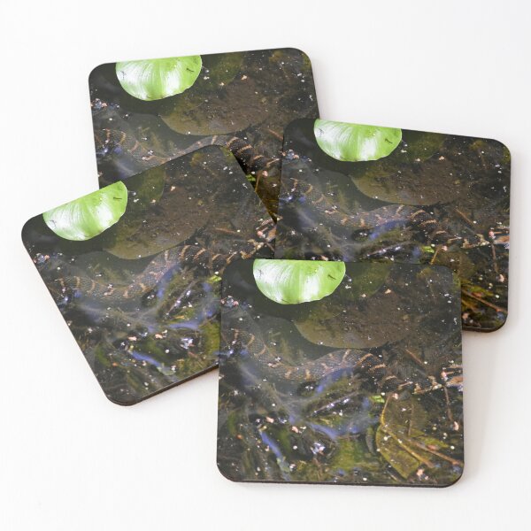 Item preview, Banded Water Snake designed and sold by MercerImages.